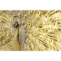 AluArt Gold Peacock Woon accessoires Aluminium