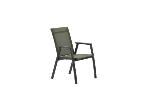 Diningfauteuil Gala Groen Tuinmeubelen Aluminium