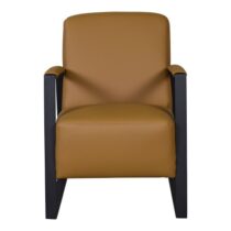 Fauteuil Arseine Gold Fauteuil Leder