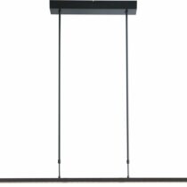 Masterlight Hanglamp Real 2 Dim-To-Warm Black Verlichting