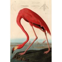 Mondiart American Red Flamingo Woon accessoires