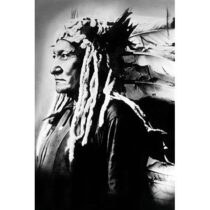 Native American Sioux Chief Woon accessoires