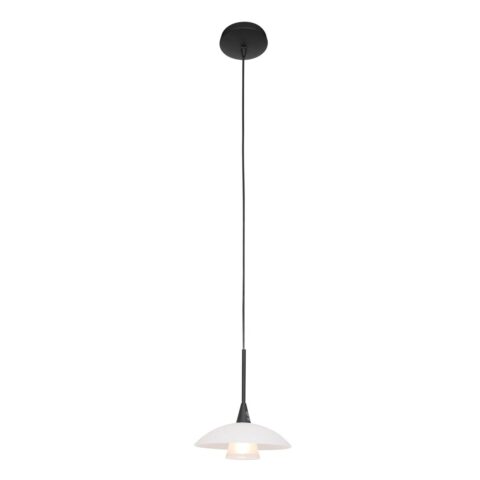 Steinhauer Hanglamp Tallerken Zwart Verlichting Metaal