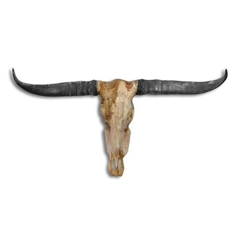 Stierenhoofd Bull Skull Woon accessoires