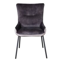 Stoel Fonzey Lightgrey Darkgrey Stoelen Leder